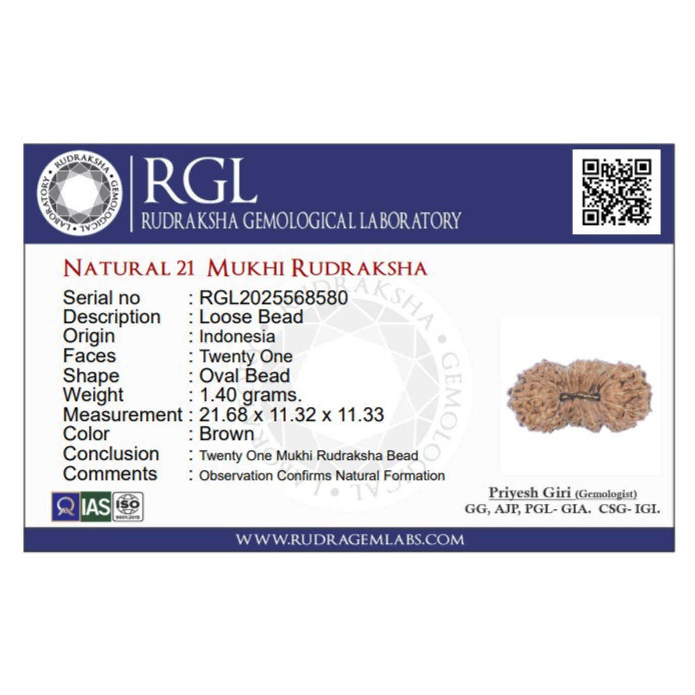 ShivaRatna 21 Mukhi Rudraksha – Lab-Certified (Indonesian), Well-Formed, Mature Bead with X-Ray Verification Report