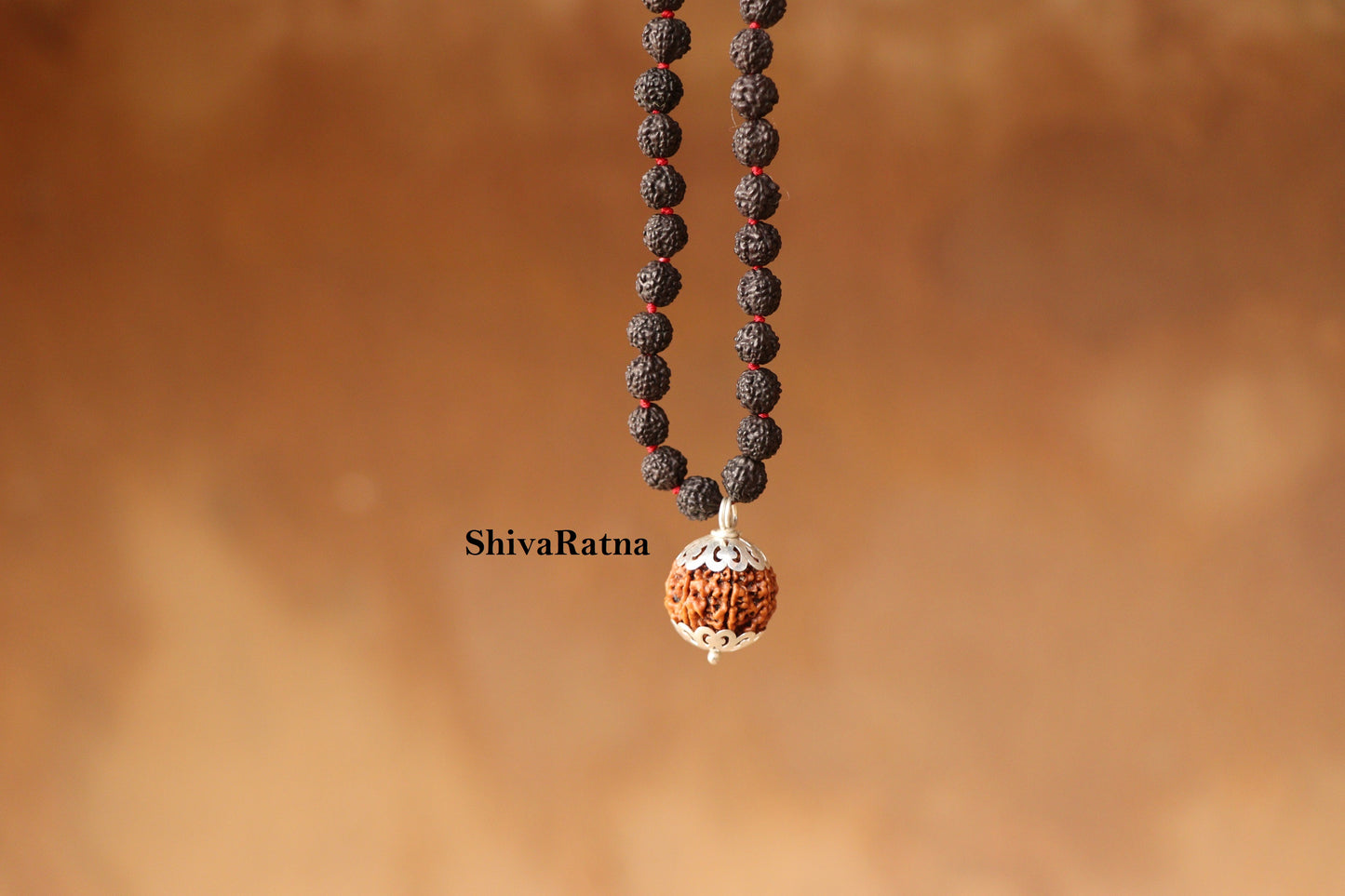 ShivaRatna 7 Mukhi Nepali Rudraksha Guru Mani with 108 Beads of 5 Mukhi Rudraksha Mala (Pure Silver Cap + Lab Certified)