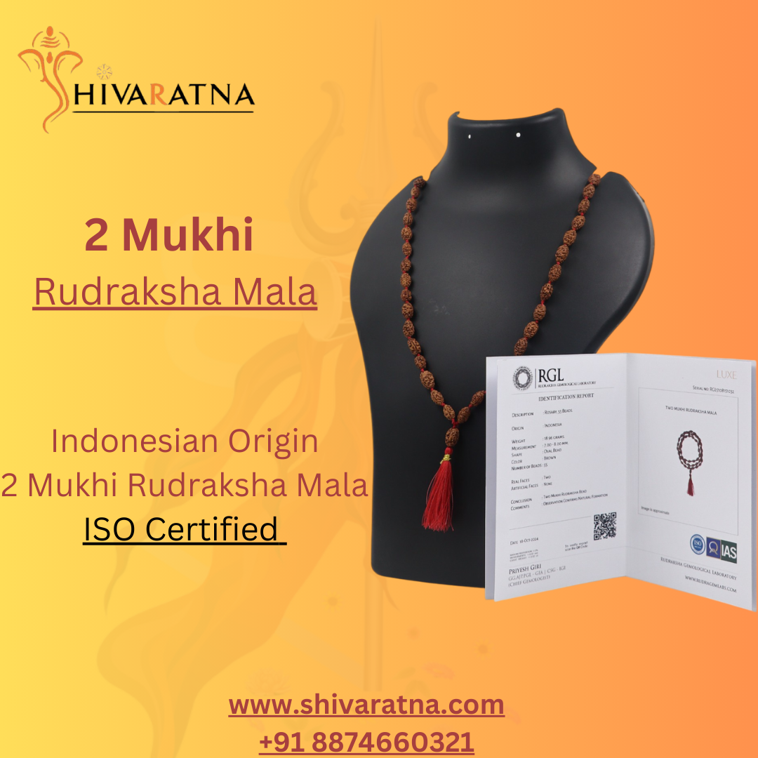 ShivaRatna 2 Mukhi Rudraksha Mala (54+1 Beads ) - Lab Certified