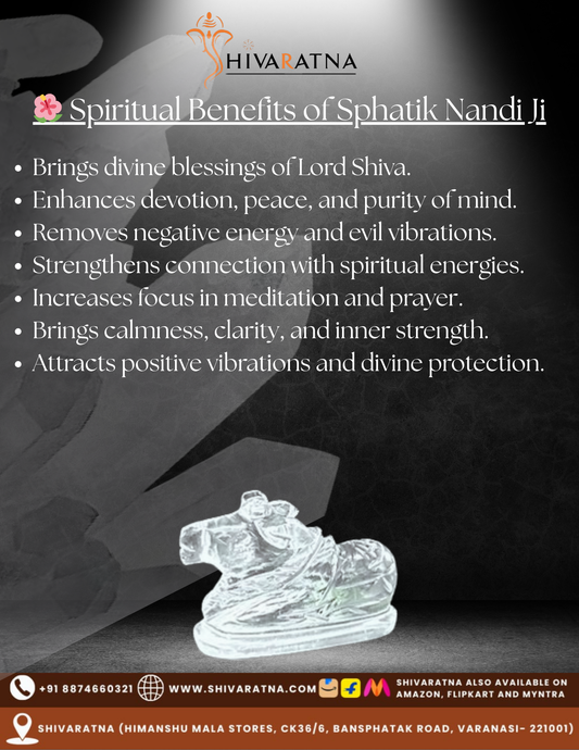 ShivaRatna Sphatik Nandiji – The Divine Guardian of Lord Shiva’s Energy (14-20gram)