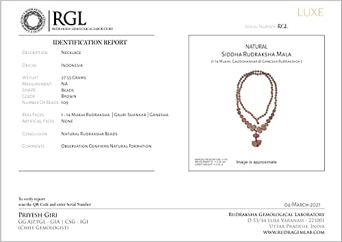 ShivaRatna Siddha Rudraksha Mala 1-14 Mukhi + 5 Mukhi Rudraksha Mala - ShivaRatna