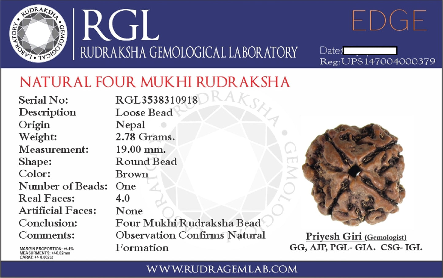 ShivaRatna 4 Mukhi Nepali Rudraksha Guru Mani + Five Mukhi Rudraksha (54 Beads) Made in Pure Silver - ShivaRatna