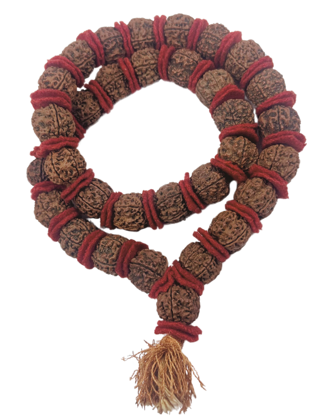 ShivaRatna  Shani Kantha Rudraksha Mala (20-22mm), Lab Verified for Purity and Power