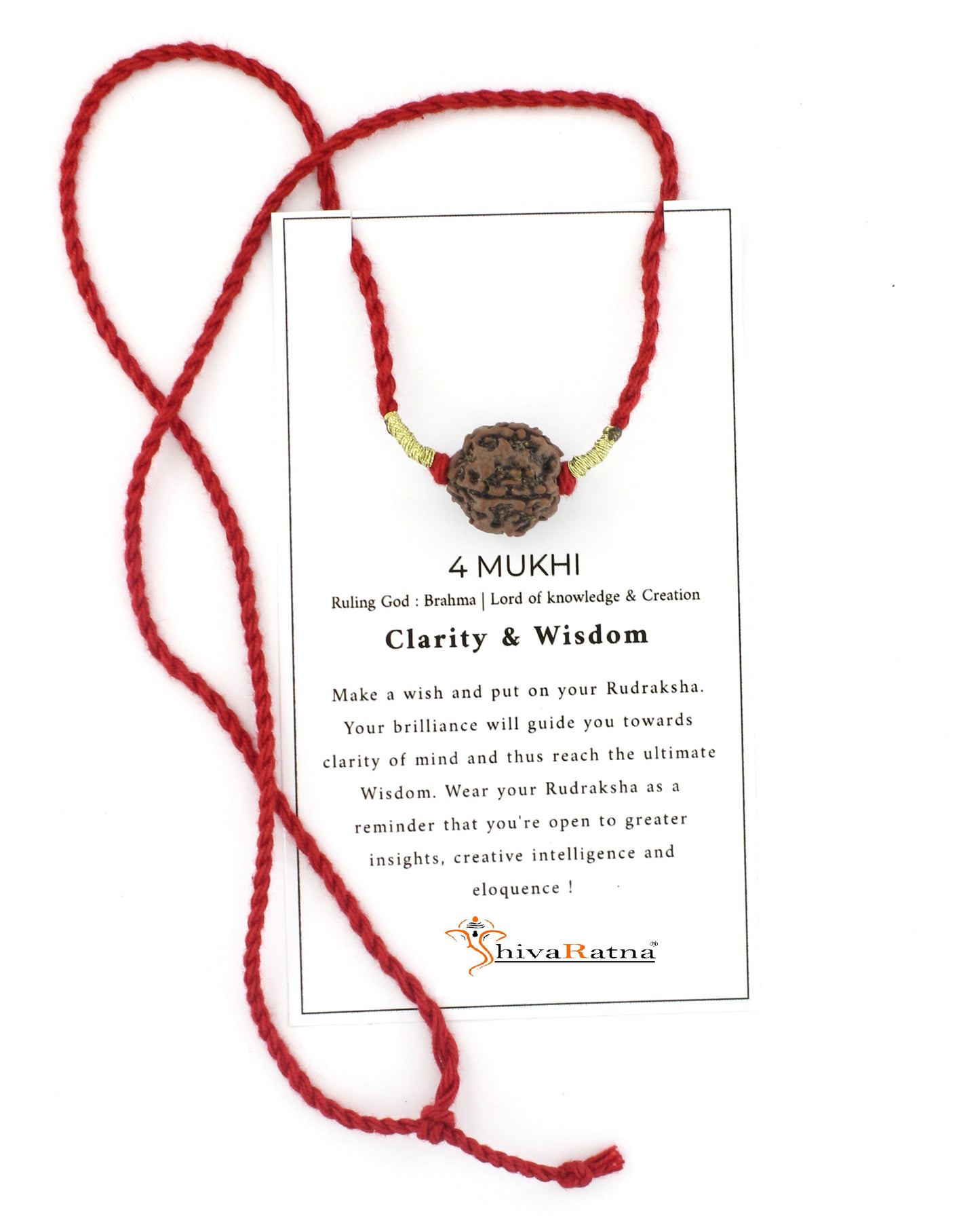 4mukhi rudraksha