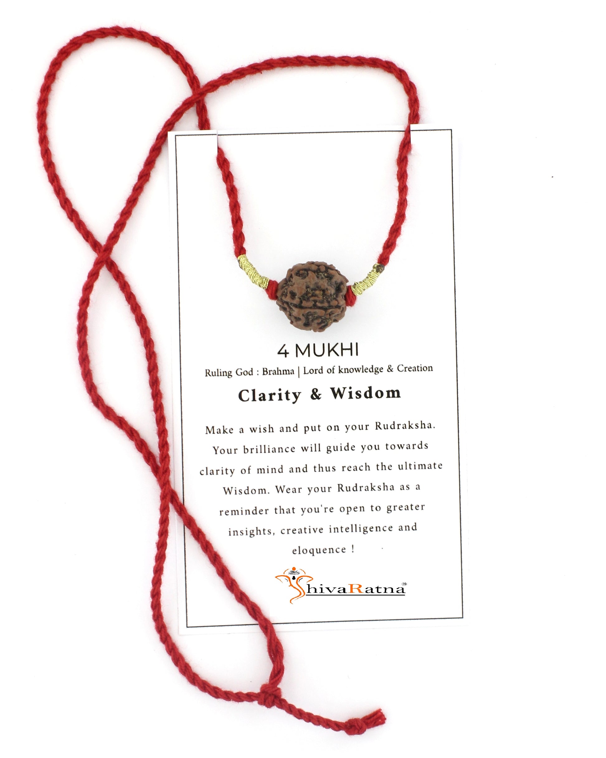 4mukhi rudraksha