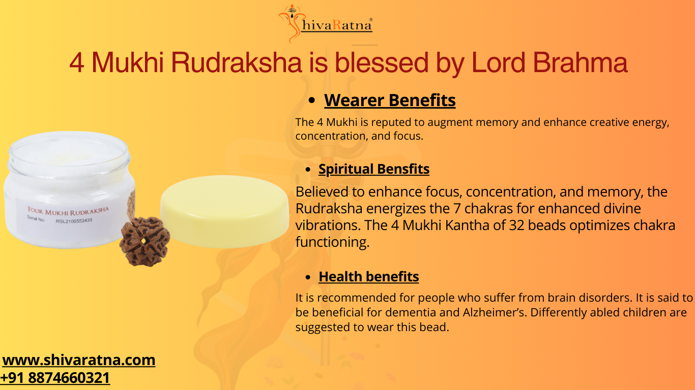 ShivaRatna 4 Mukhi/Four Face Rudraksha with Certificate of Authenticity (Elite Range)