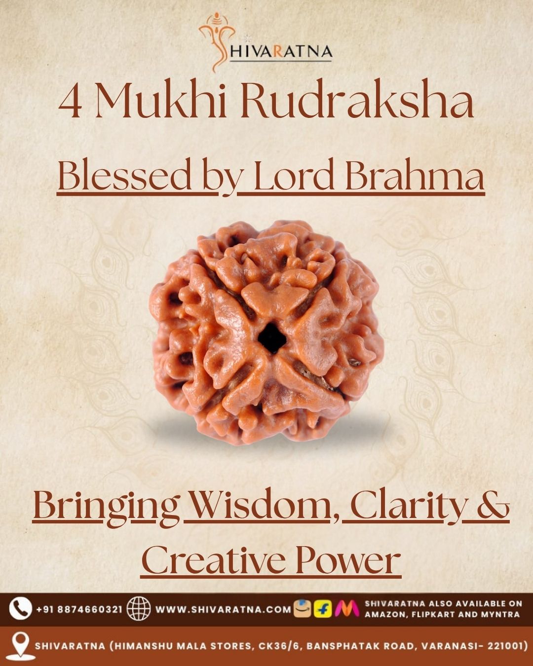 ShivaRatna 4 Mukhi Rudraksha – Certified Nepali Bead, Well-Formed and Fully Matured with X-Ray Verification