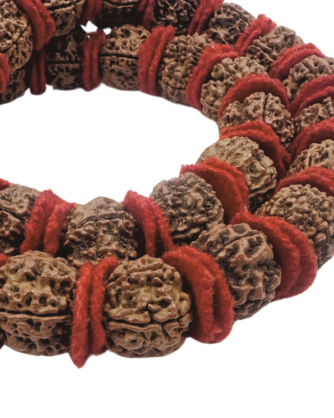 ShivaRatna  Shani Kantha Rudraksha Mala (20-22mm), Lab Verified for Purity and Power