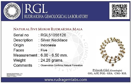 ShivaRatna 5 Mukhi Rudraksha Mala Pure Silver 54+1 Beads Lab Certified (Matured Beads & Strong Design) - ShivaRatna