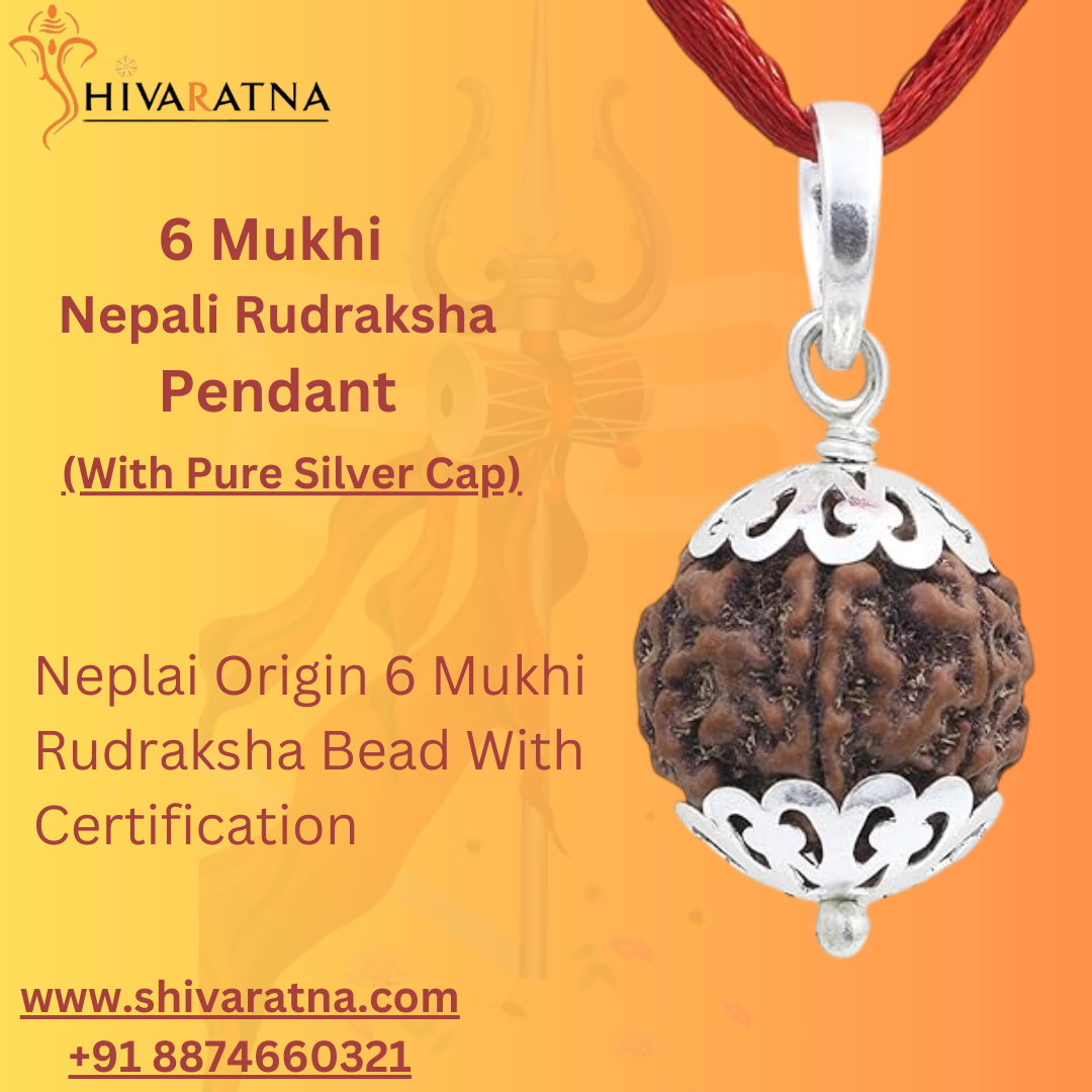 silver capping 6mukhi rudraksha