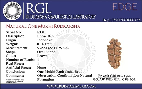 certified rudraksha