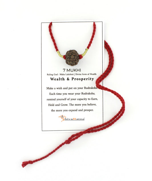 7mukhi price