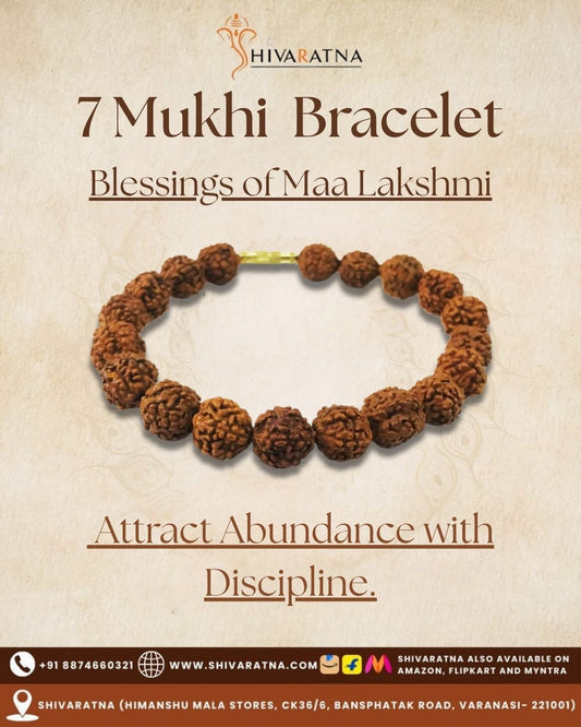ShivaRatna 7 Mukhi Rudraksh Bracelet - Indonesian Beads