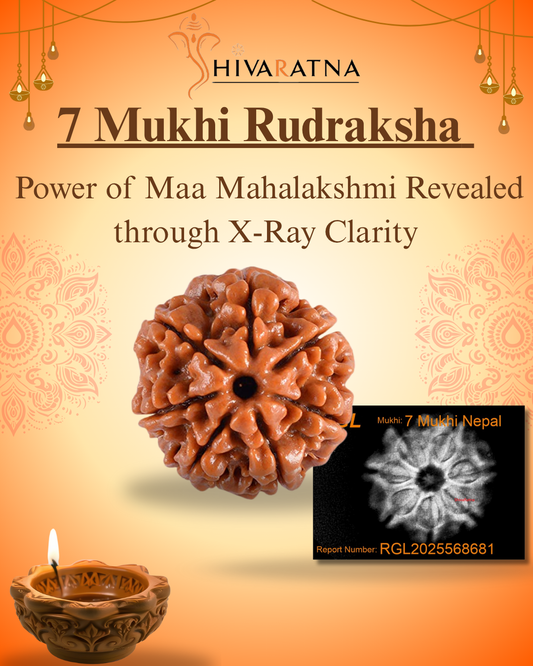 7mukhi with diwali offer 2025