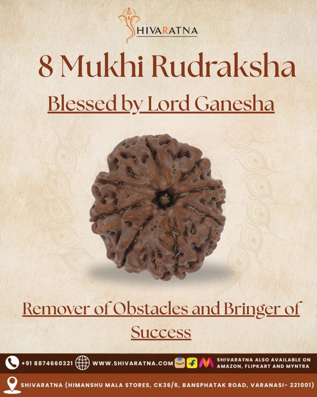 ShivaRatna 8 Mukhi Rudraksha – Certified Nepali Bead, Well-Formed and Fully Matured with X-Ray Verification