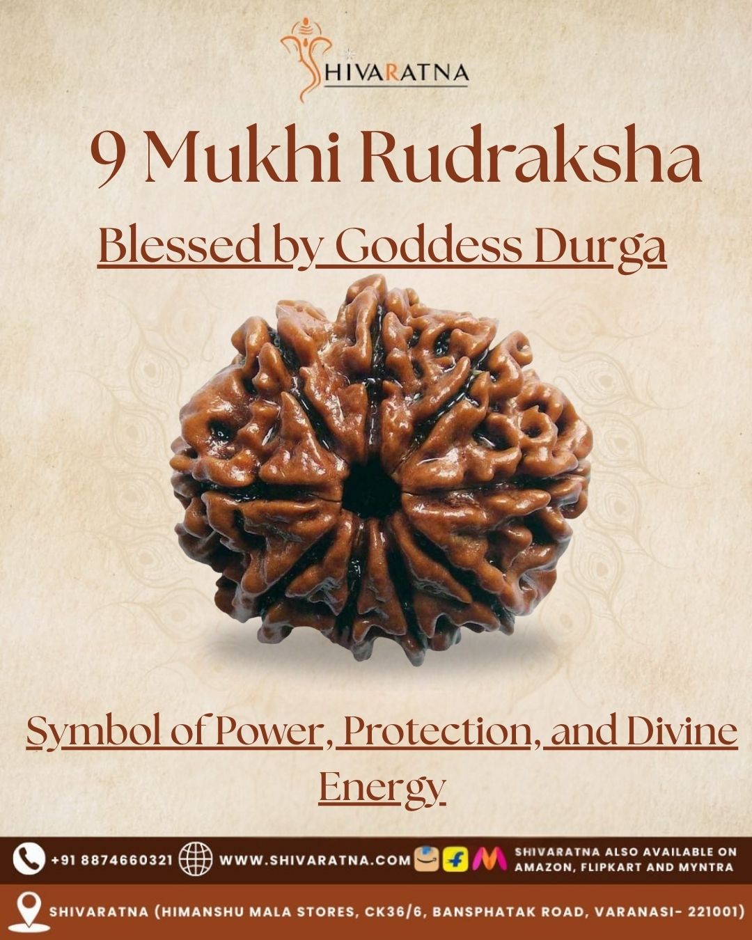 ShivaRatna 9 Mukhi Rudraksha – Certified Nepali Bead, Well-Formed and Fully Matured with X-Ray Verification
