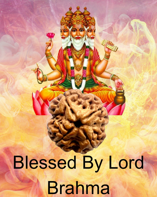 ShivaRatna 4 Mukhi Rudraksha – Certified Nepali Bead, Well-Formed and Fully Matured with X-Ray Verification