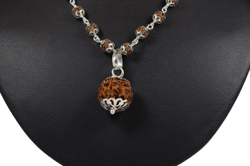 5 mukhi rudraksha price