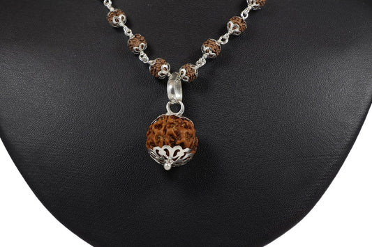 5 mukhi rudraksha price
