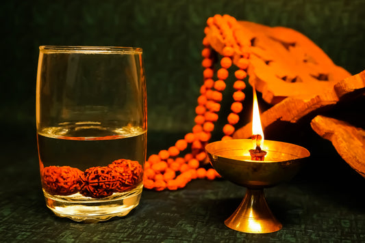 ShivaRatna Water Therapy Rudraksha (Set Of 3)