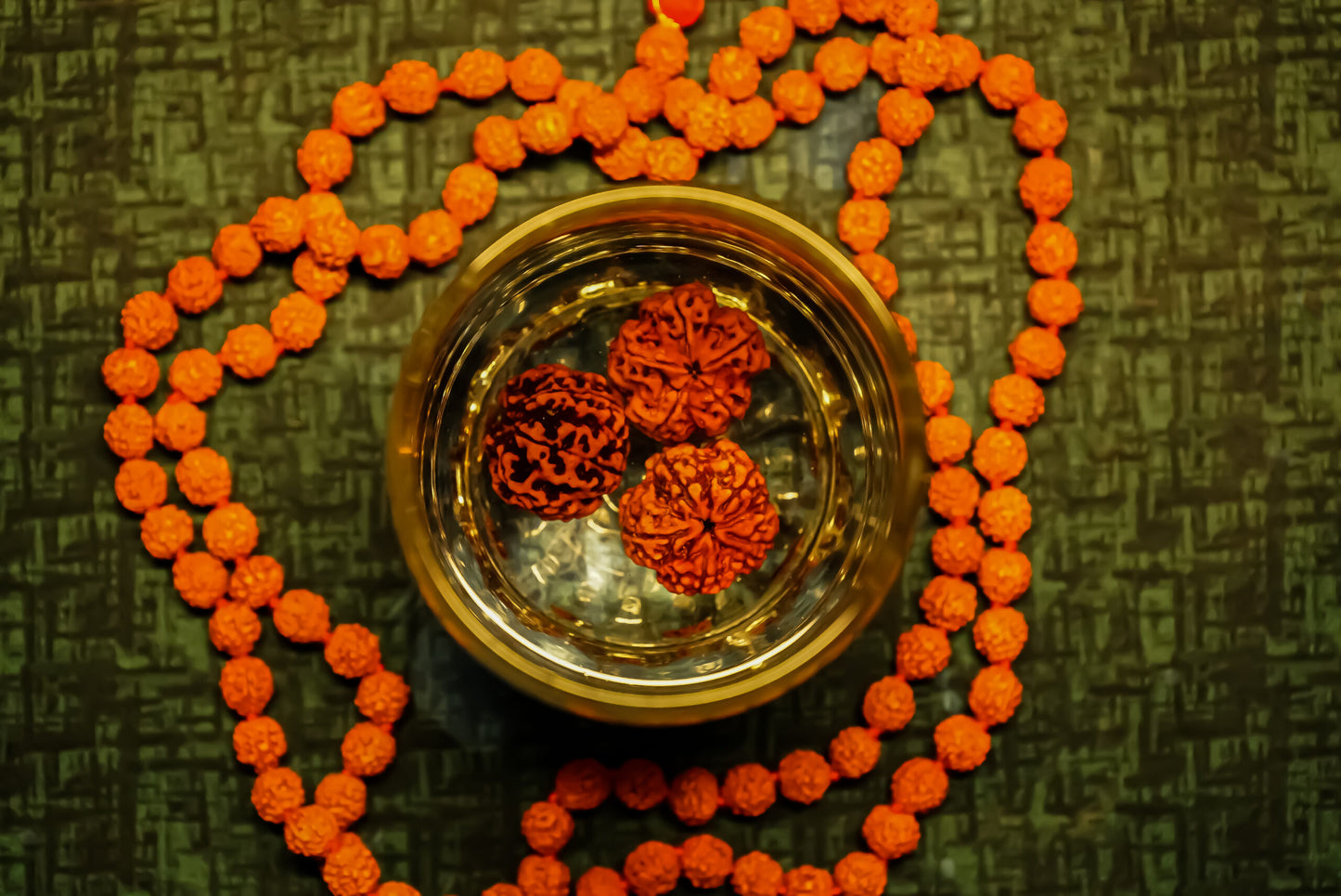 ShivaRatna Water Therapy Rudraksha (Set Of 3)