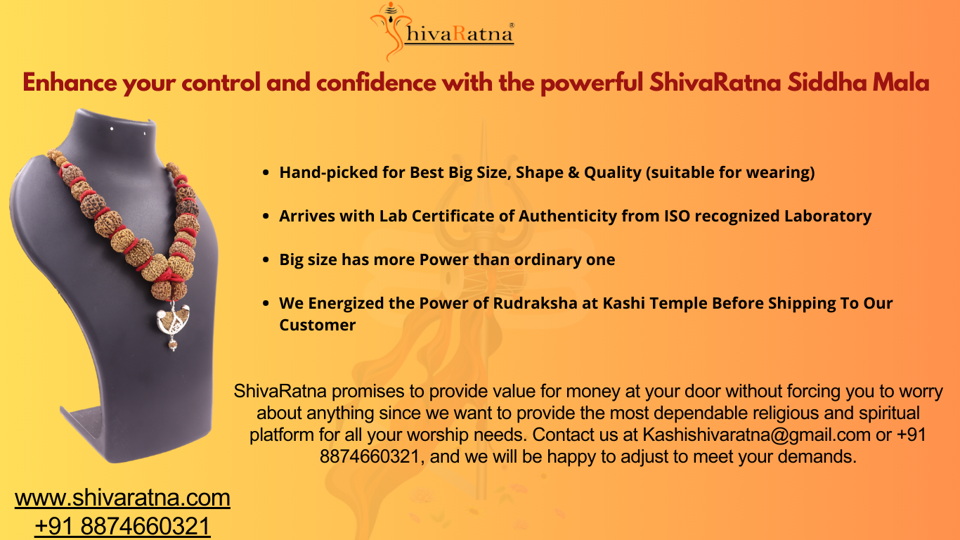 ShivaRatna Siddha Mala 1-14 Mukhi +Gaurishankar + Ganesh  Rudraksha  (Nepali Beads)- Lab Certified