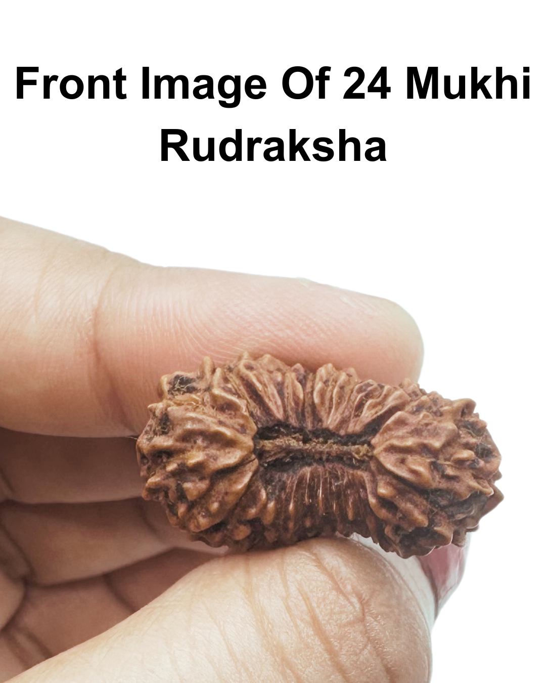 hand picked and nergized from kashi viswanath temple from shivaratna