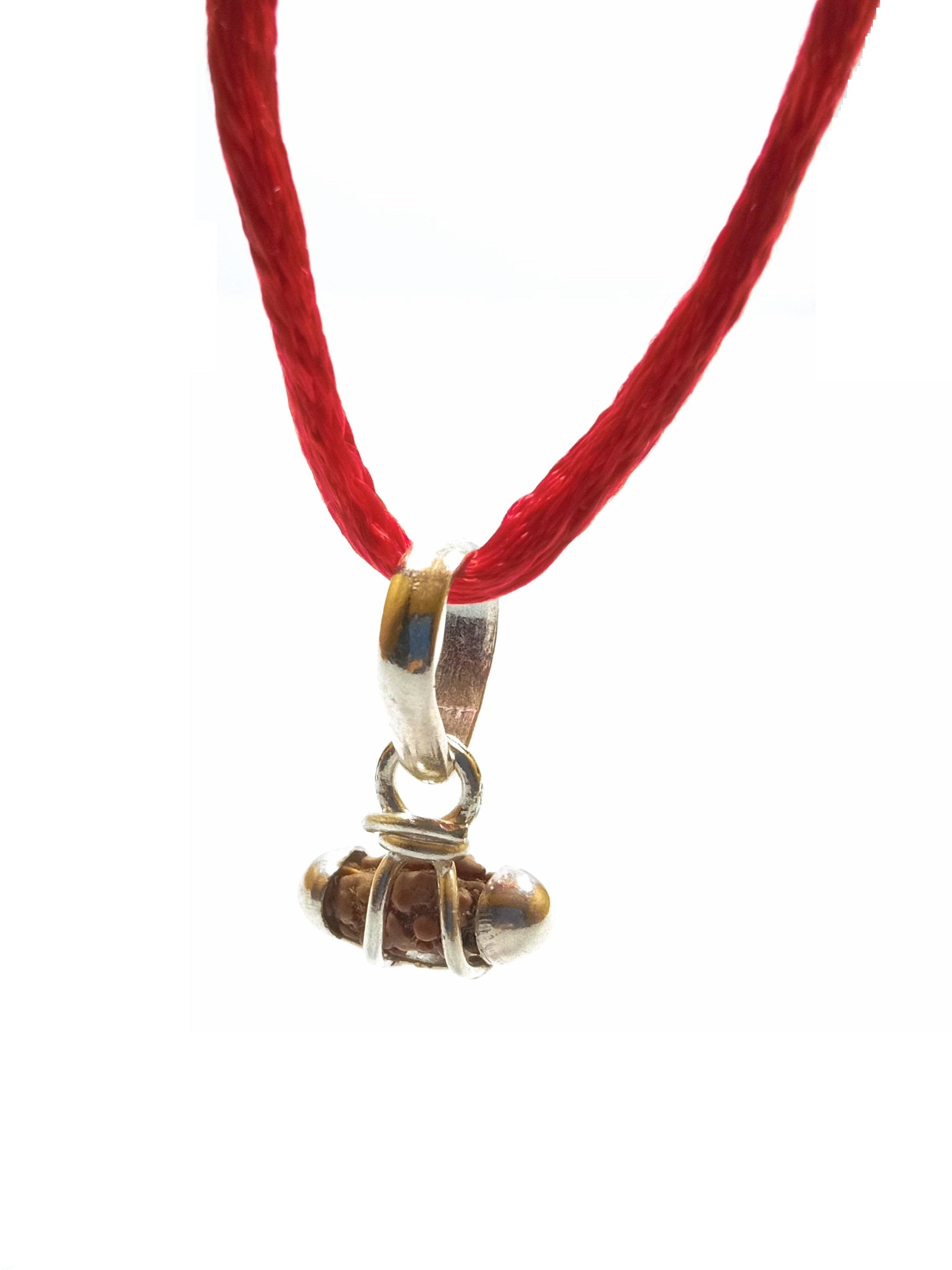 ek mukhi rudraksha