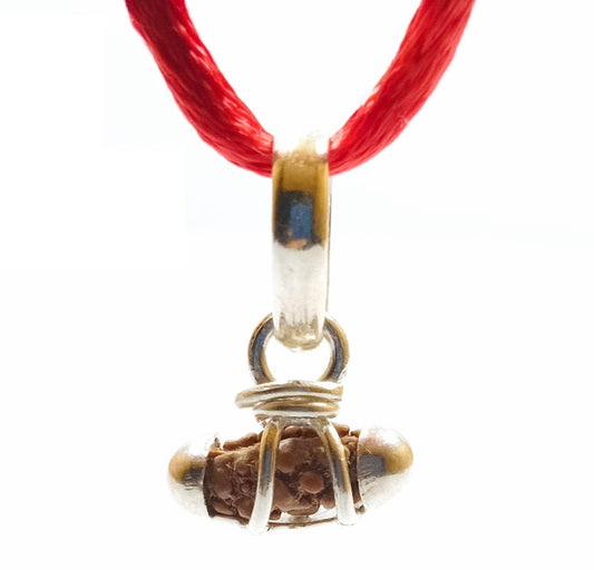 Shivaratna 1mukhi and 9 Mukhi customize Rudraksha