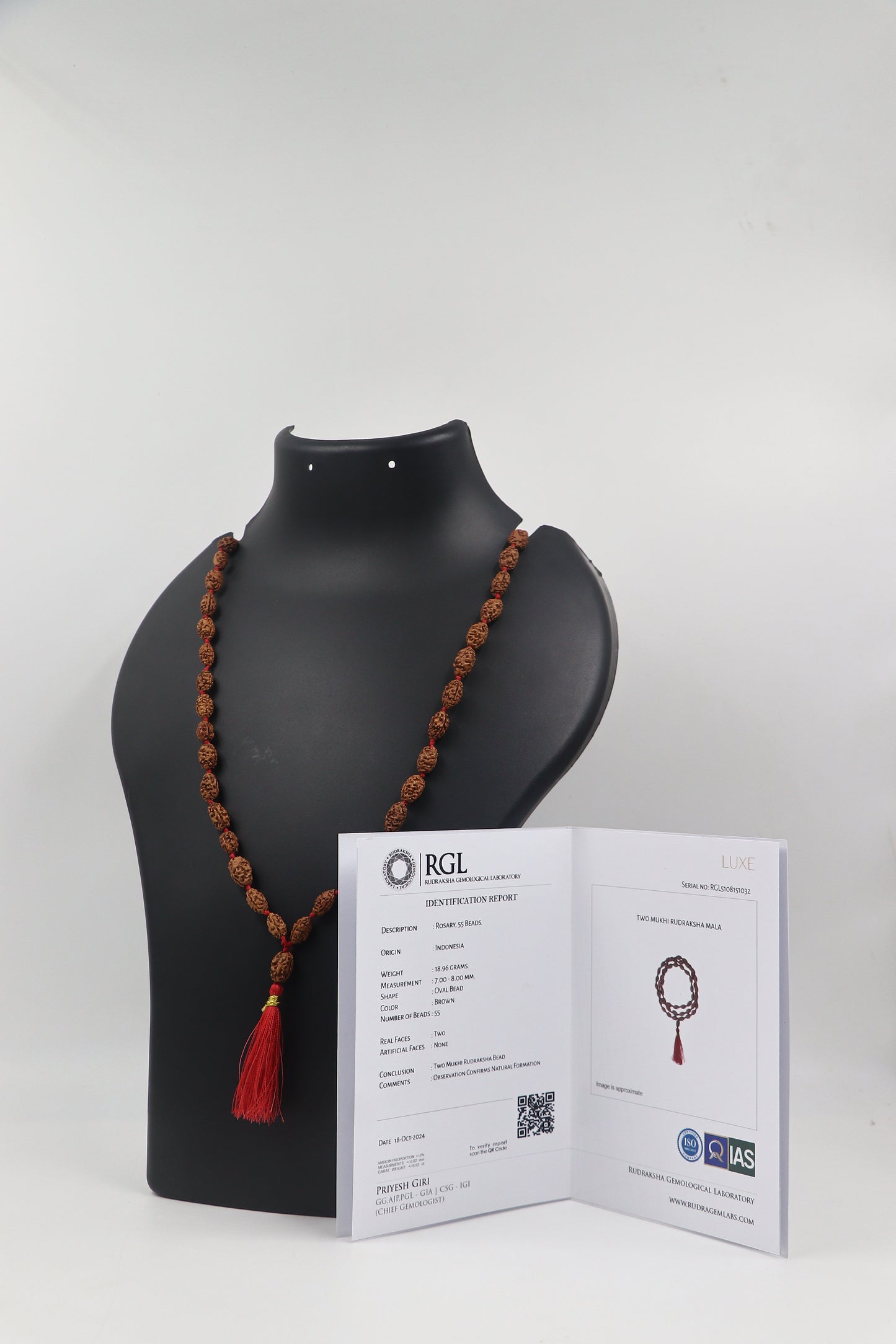 ShivaRatna 2 Mukhi Rudraksha Mala (54+1 Beads ) - Lab Certified