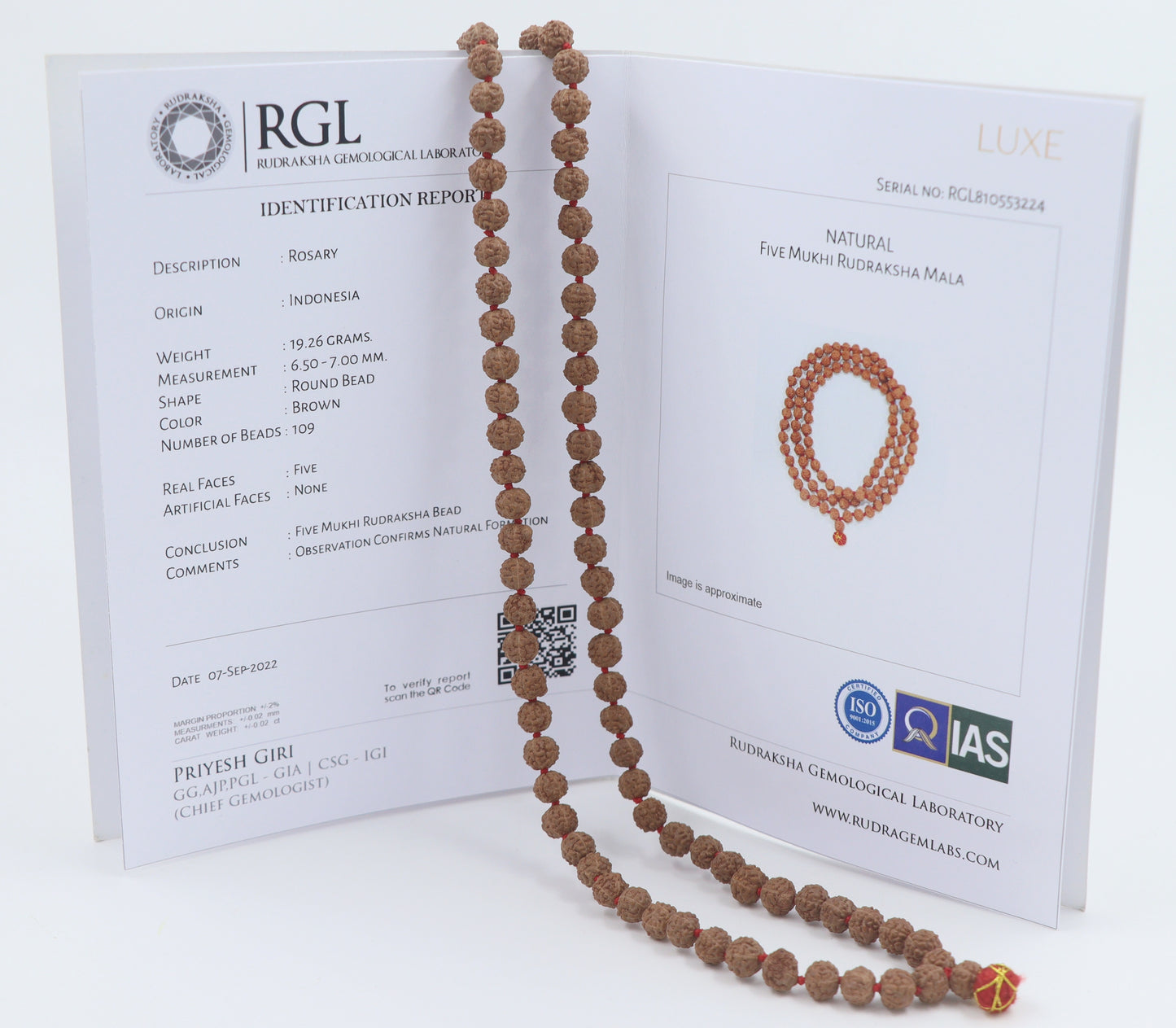 ShivaRatna Semi Chikna/Pathri Rudraksha Mala - Lab Certified 108+1 (for Jaap & Wearing)