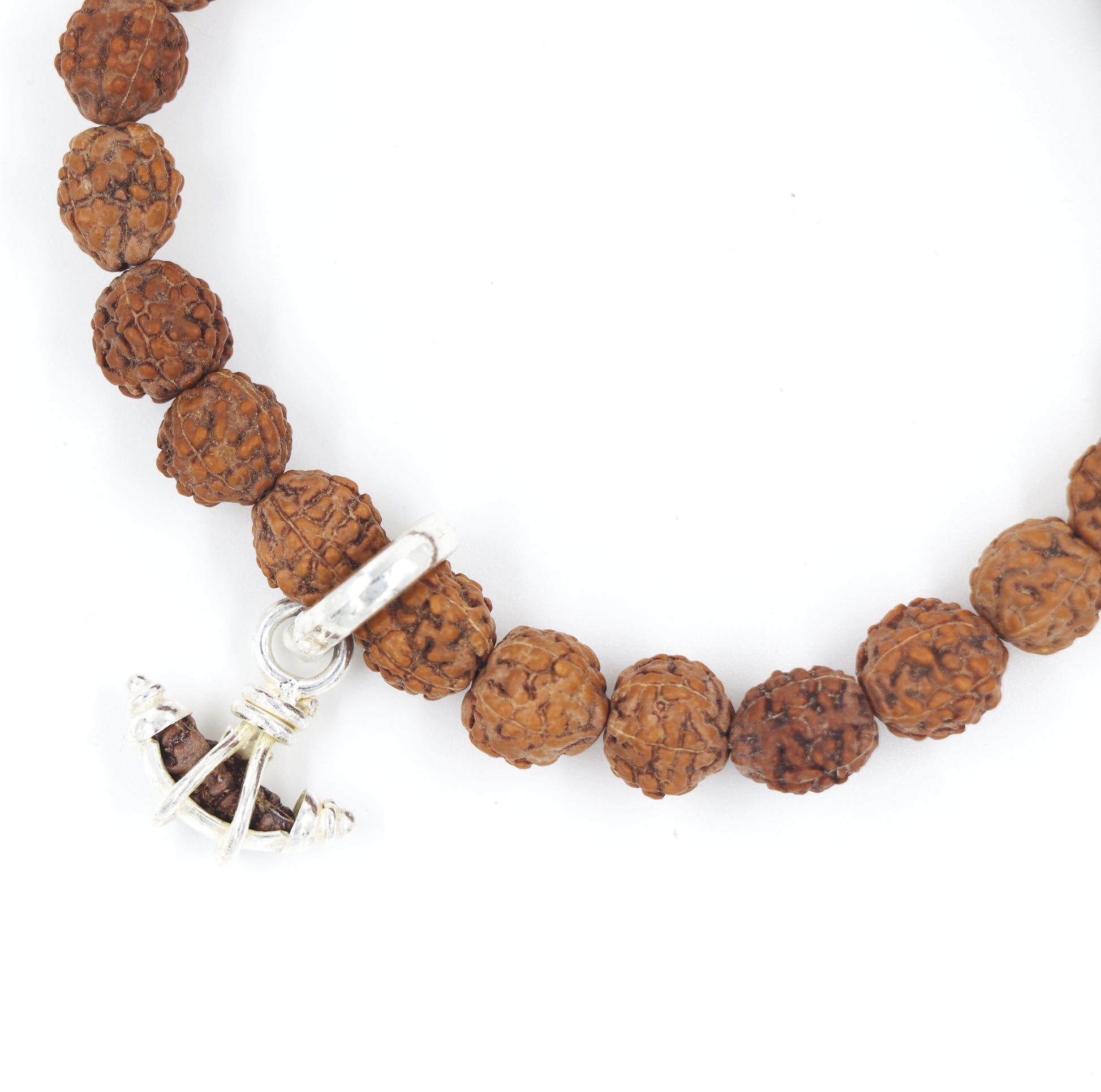 ek mukhi rudraksha