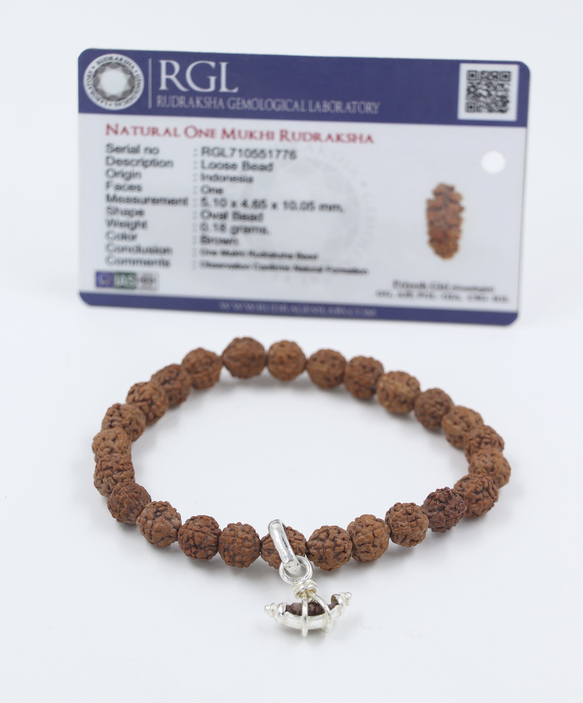 ek mukhi rudraksha bracelet