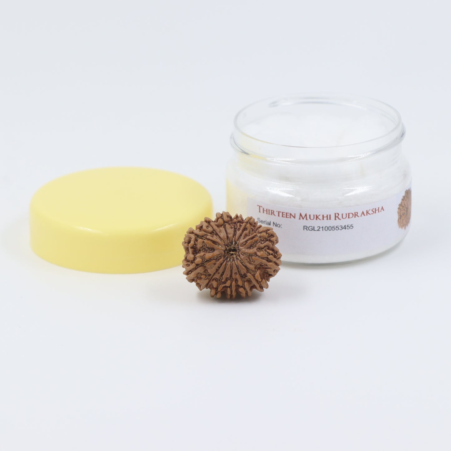 orignal rudraksha by shivaratna