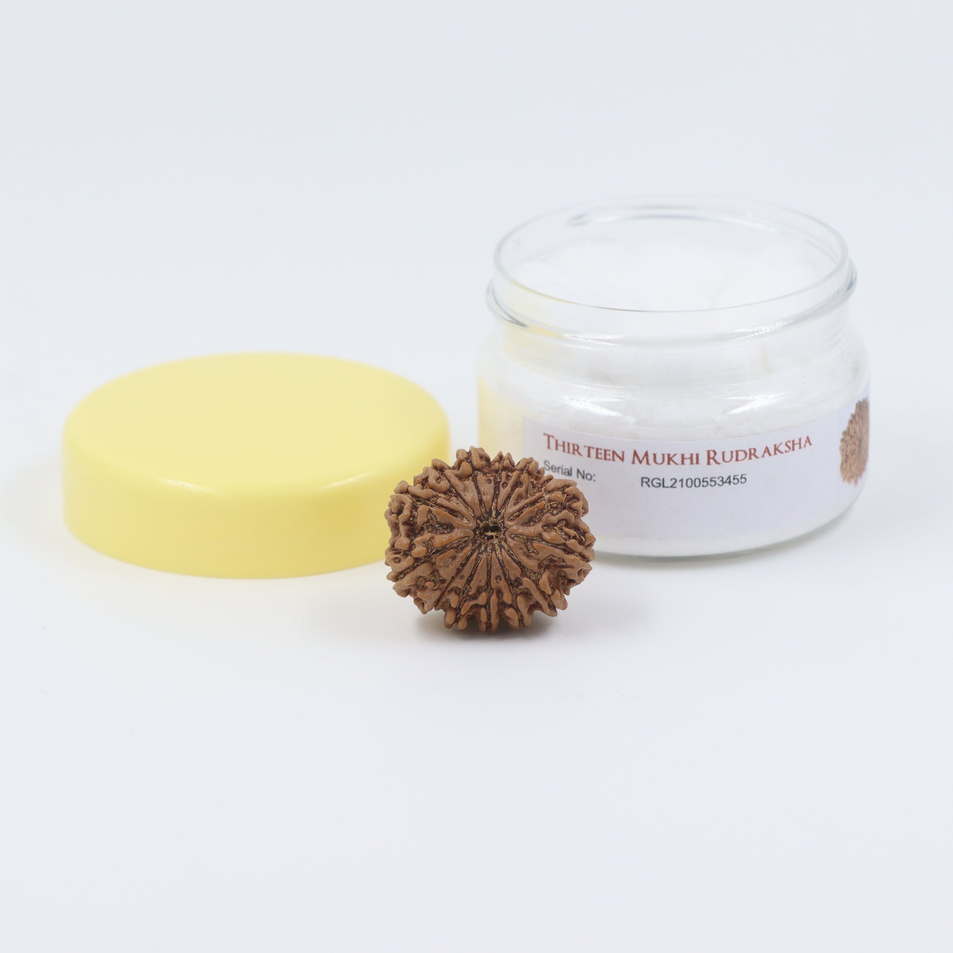 orignal rudraksha by shivaratna