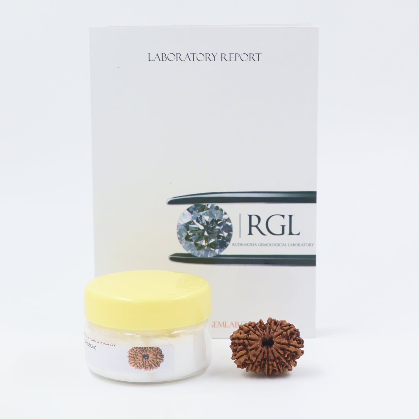 14 mukhi orignal rudraksha