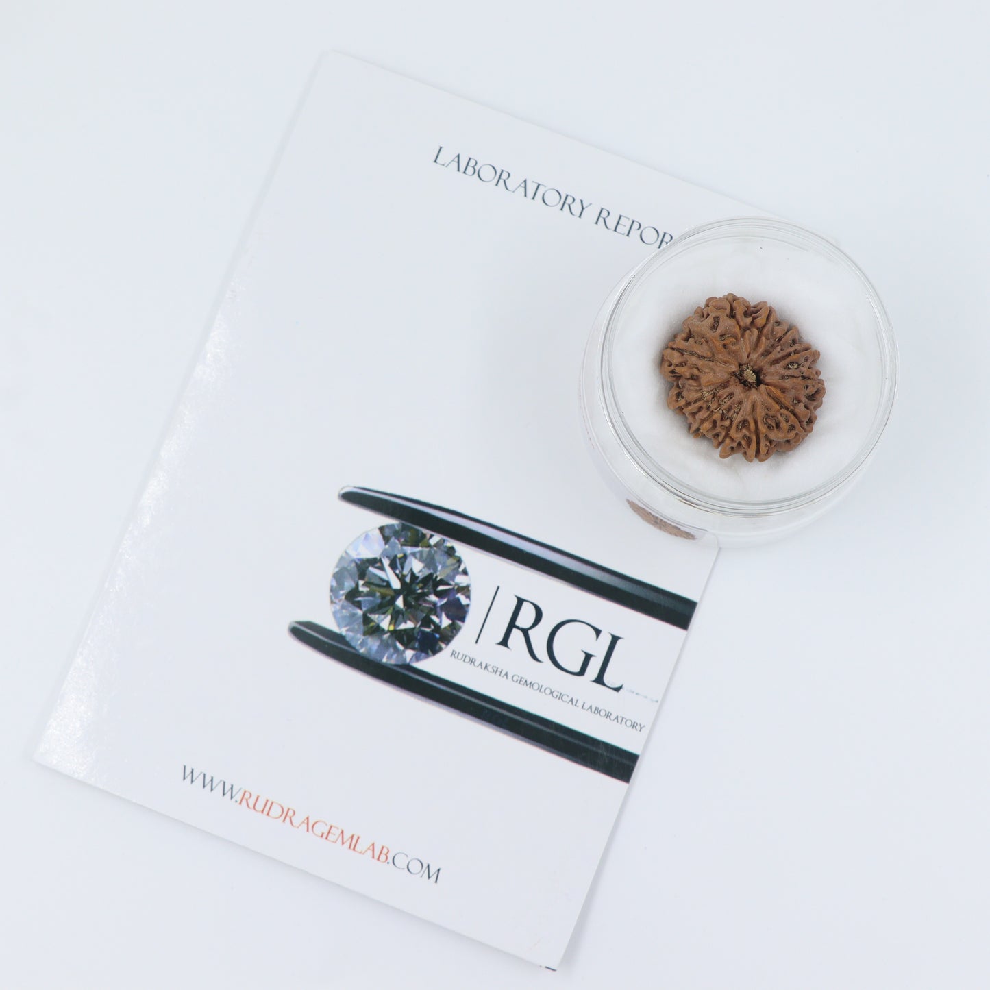 certified rudraksha