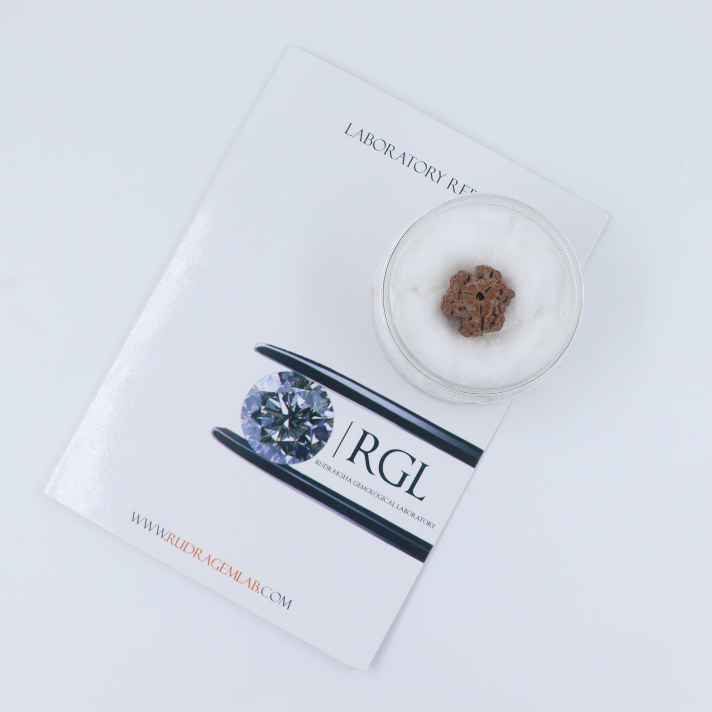 certified rudraksha