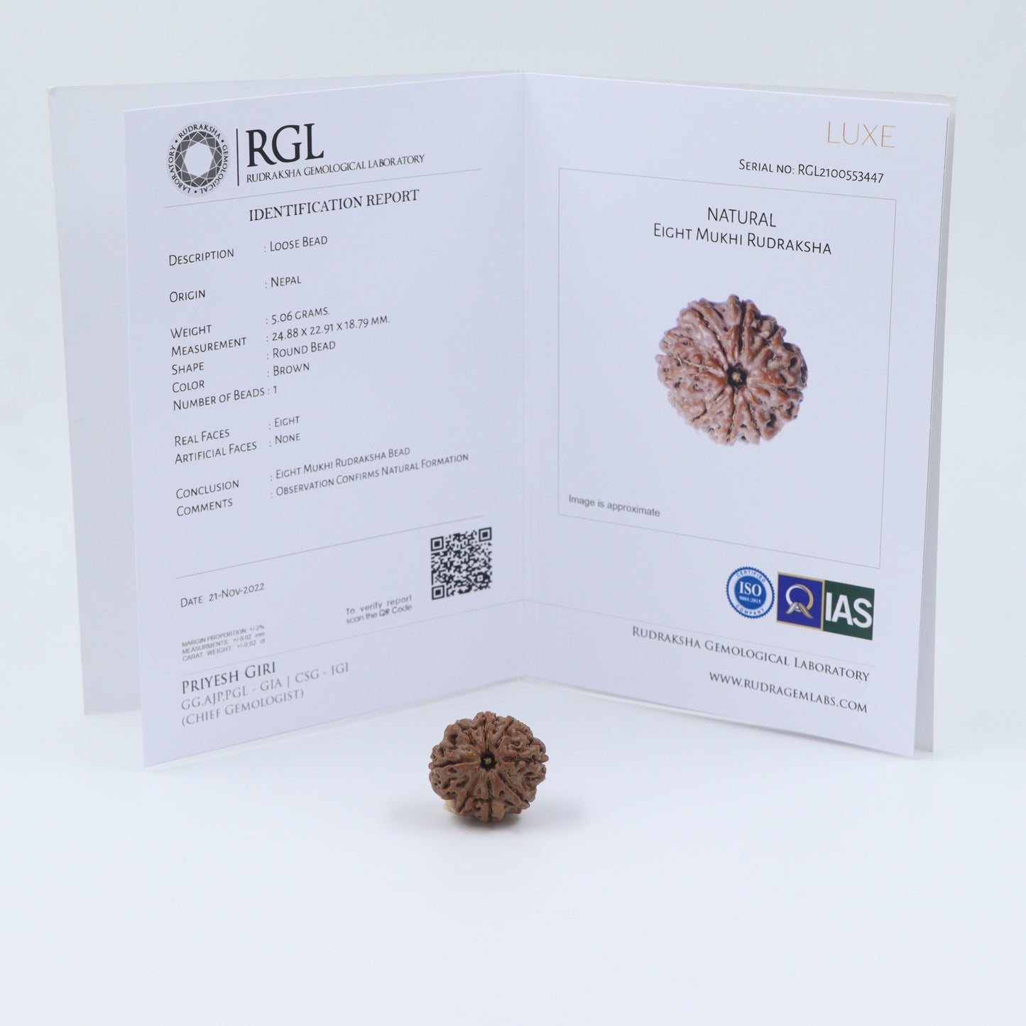 8 mukhi rudraksha price 