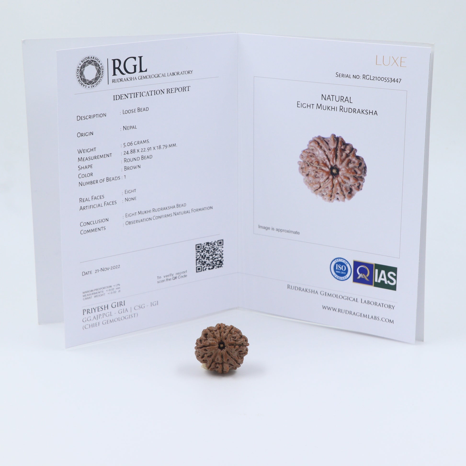 8 mukhi rudraksha price 