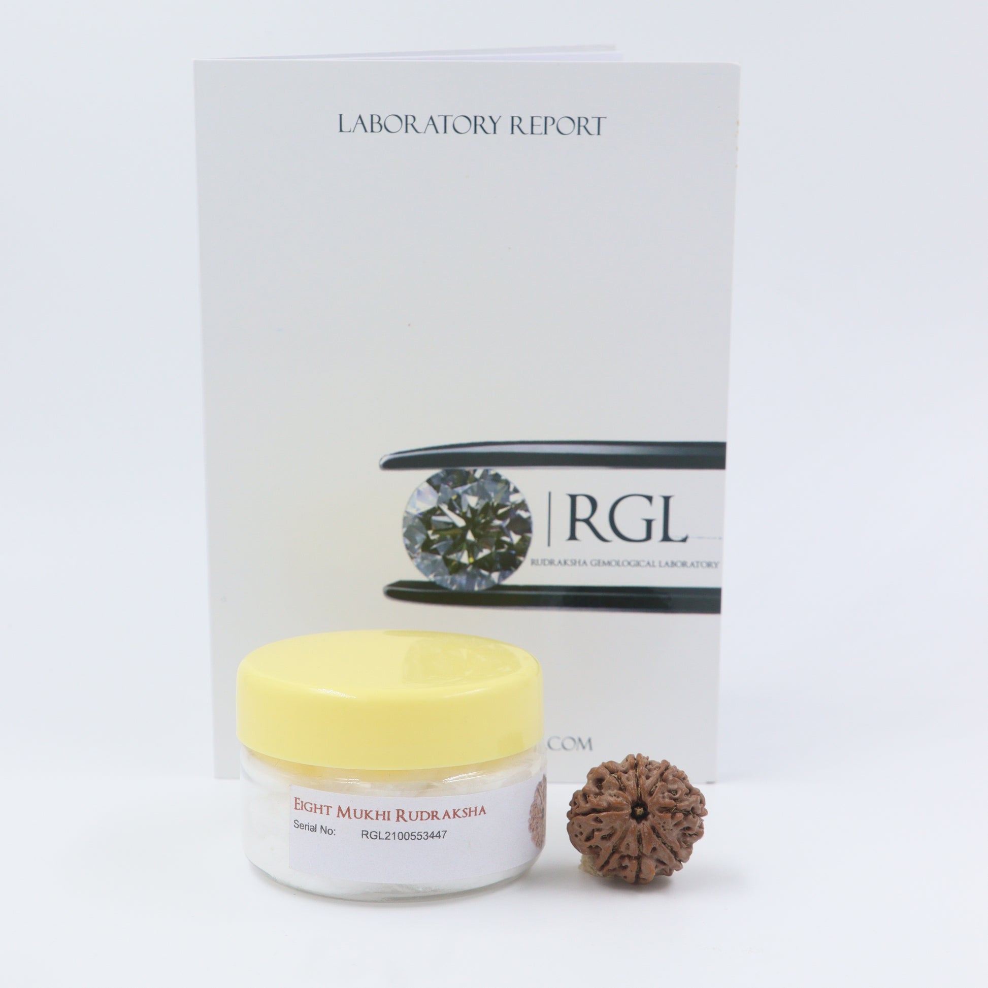8mukhi rudraksha - premium bead 