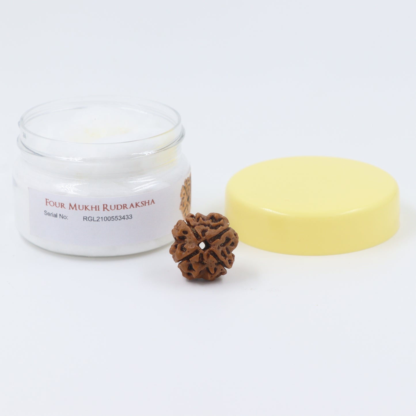 orignal rudraksha