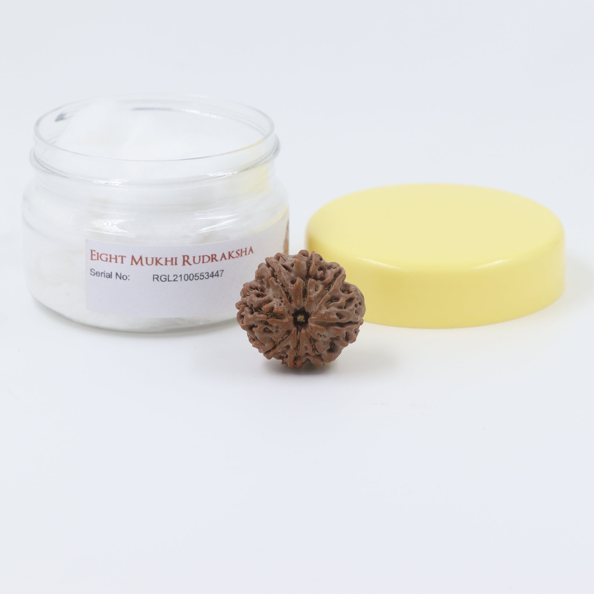 8mukhi rudraksha with lab certified