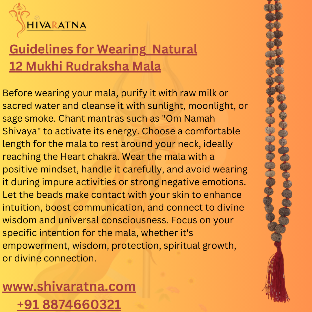 ShivaRatna 12 Mukhi Rudraksha Mala -108 +1 Beads (ISO Certified)