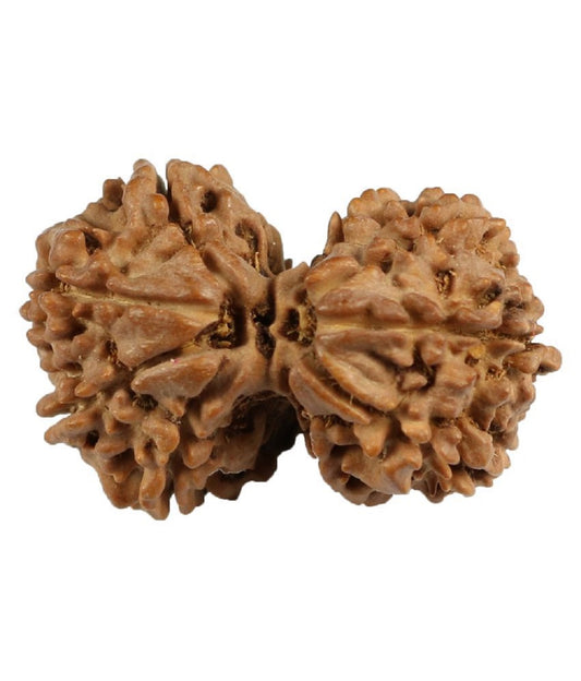 ShivaRatna Rudraksha Kawach For Meditation