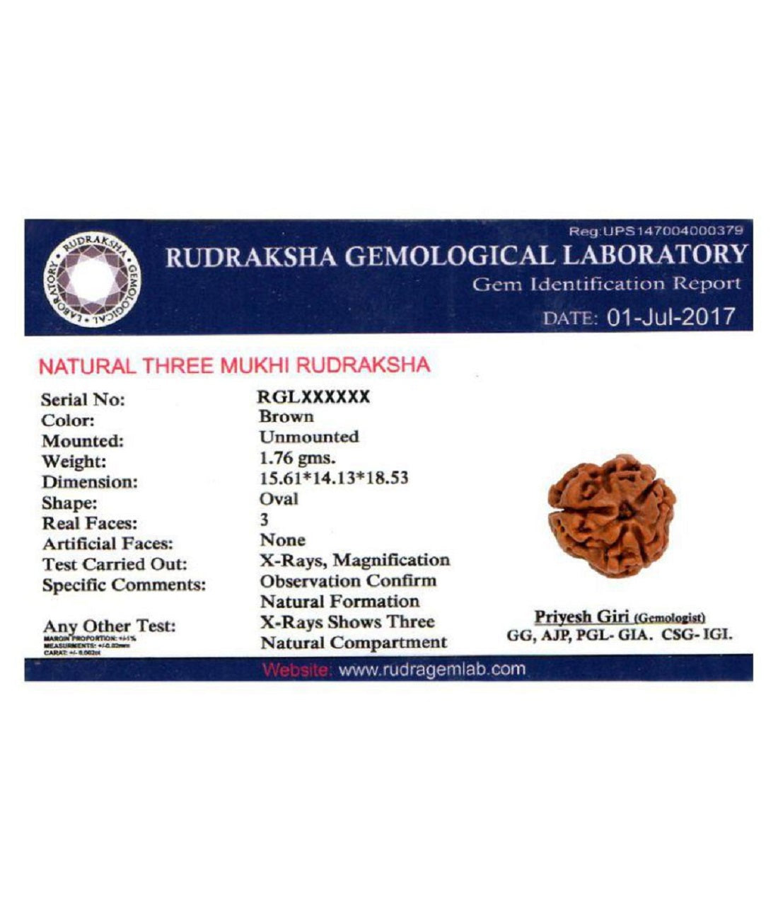 certified rudraksha