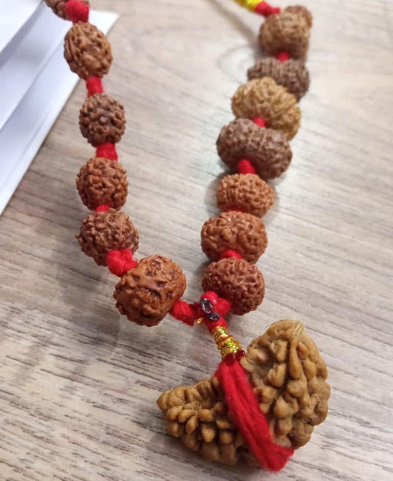 ShivaRatna Siddha Rudraksha Mala 1-14 Mukhi (Elite Beads) - Lab Certified