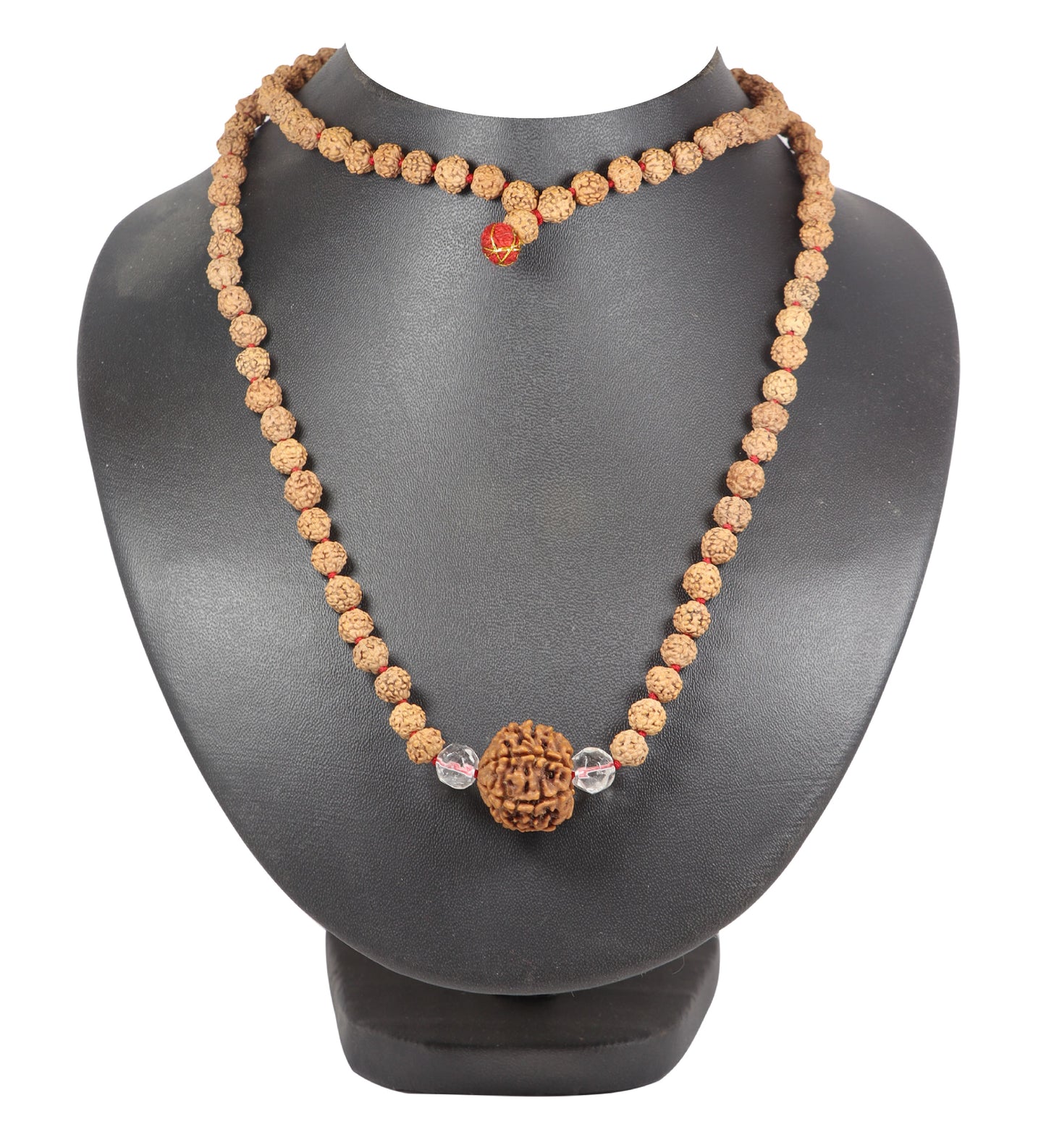 6mukhi rudraksha