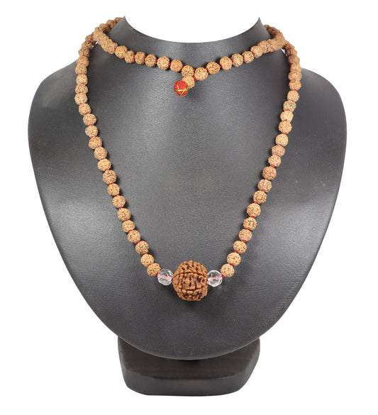 6mukhi rudraksha