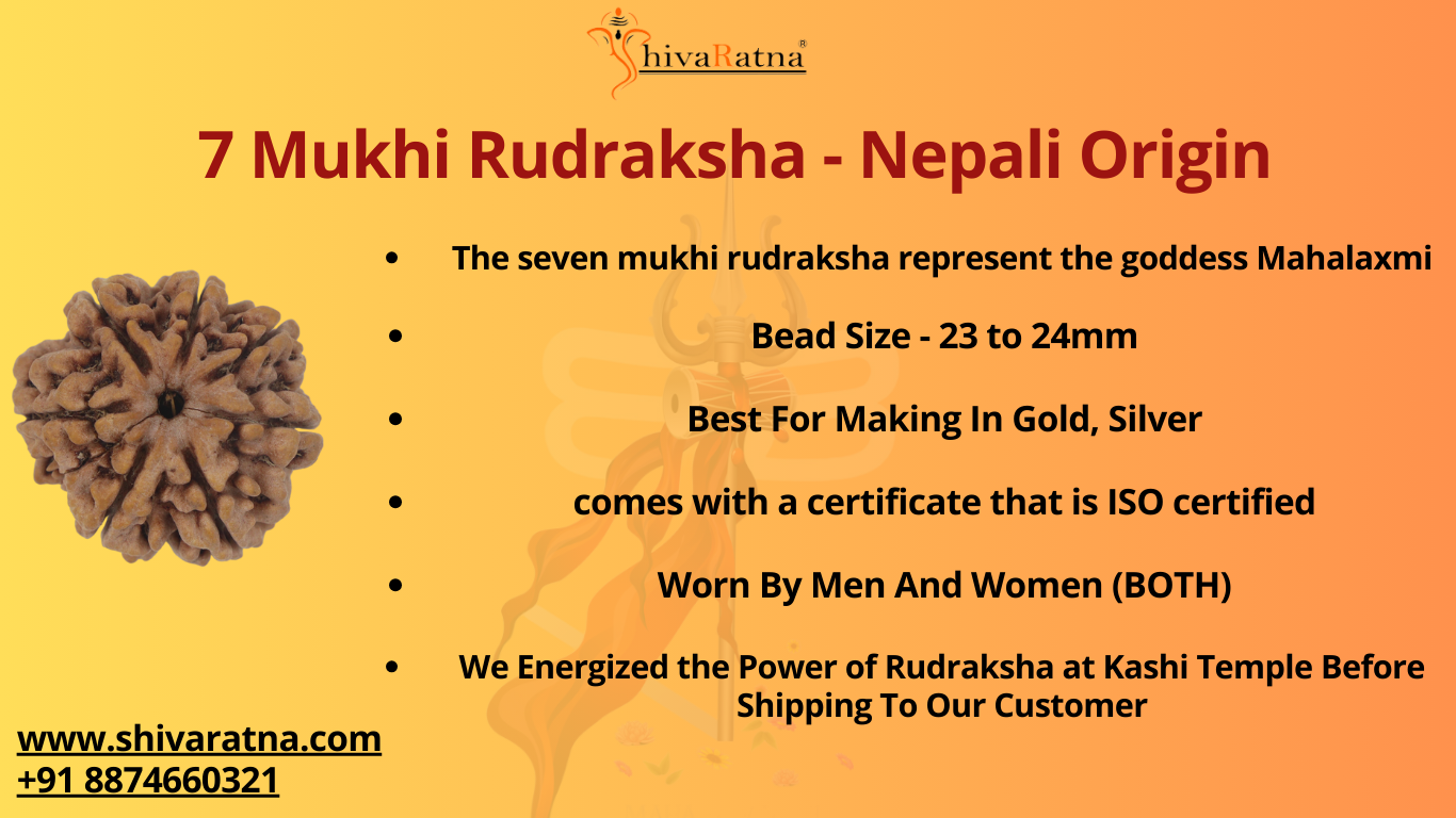 collector bead of 7mukhi